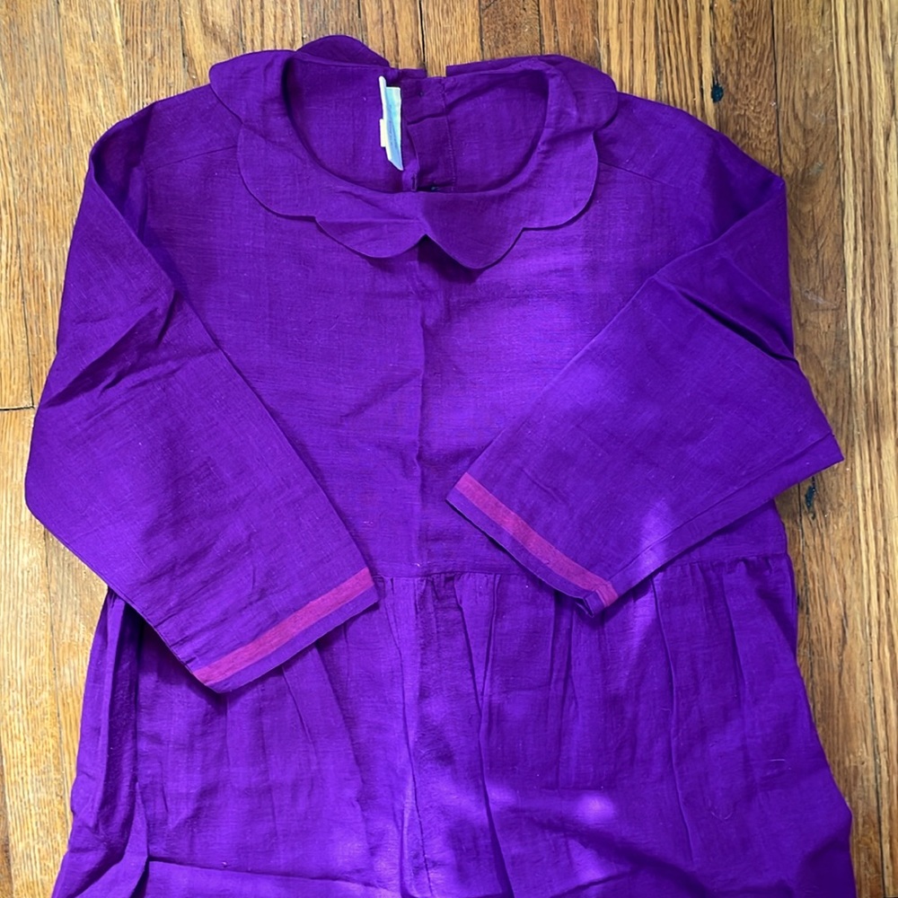 Loveliest Purple Runaway Bicycle Dress